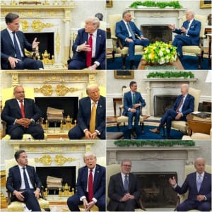 عکس: ترامپ کاخ سفید را به سبک ایرانیها تزئین کرد!
