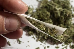 استفاده از ماریجوانا را نشانه باکلاس بودن میدانند!