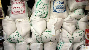 کاهش ۳۰ تا ۳۵ درصدی قیمت برنج ایرانی