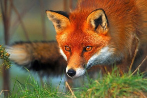 غافلگیری؛ صدای بیصدای جنگ پیش از آغاز نبرد
