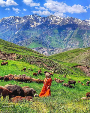 عکس/ طبیعت بکر و زیبای روستای تاریخی پیچ بن در میان کوههای الموت