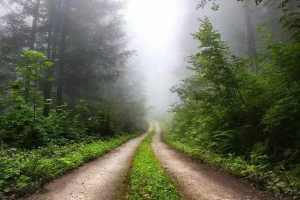عکس/ طبیعت زیبای ییلاق جواهرده رامسر