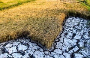 کمبود آب و انرژی؛ تهدیدی جدی برای تابستان گردشگری ایران