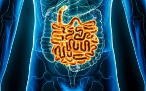 ۷ خوراکی که باید برای سلامت روده کنار بگذارید